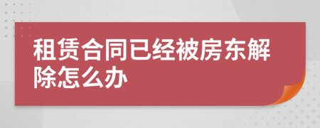 租赁合同已经被房东解除怎么办