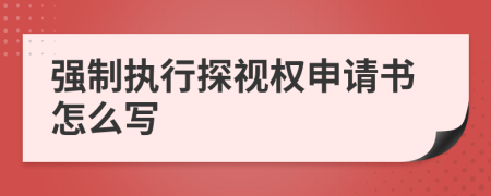 强制执行探视权申请书怎么写