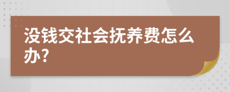 没钱交社会抚养费怎么办?