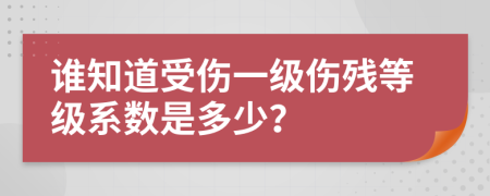 谁知道受伤一级伤残等级系数是多少？