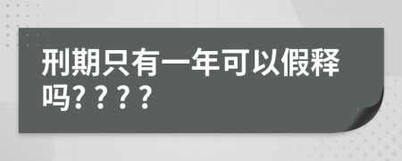 刑期只有一年可以假释吗? ? ? ?