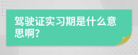 驾驶证实习期是什么意思啊？
