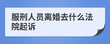 服刑人员离婚去什么法院起诉