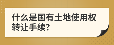 什么是国有土地使用权转让手续？