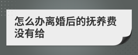 怎么办离婚后的抚养费没有给