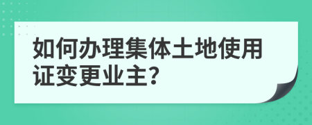 如何办理集体土地使用证变更业主？