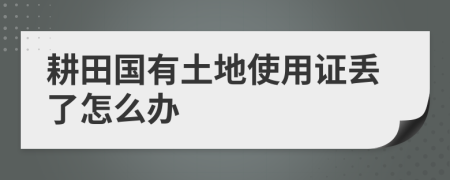 耕田国有土地使用证丢了怎么办