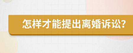 怎样才能提出离婚诉讼？