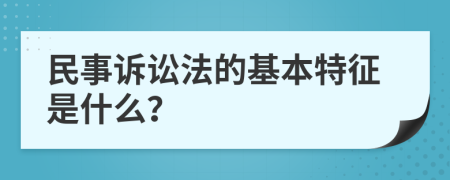 民事诉讼法的基本特征是什么？