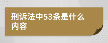 刑诉法中53条是什么内容