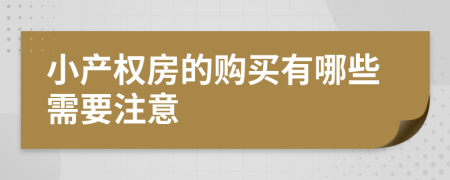 小产权房的购买有哪些需要注意