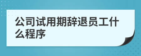 公司试用期辞退员工什么程序