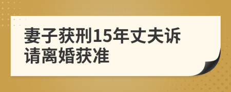 妻子获刑15年丈夫诉请离婚获准