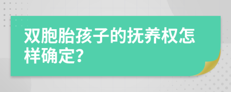 双胞胎孩子的抚养权怎样确定？