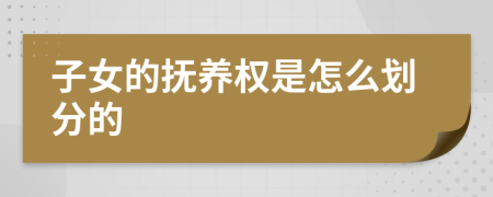 子女的抚养权是怎么划分的