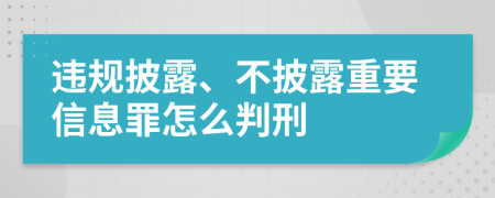 违规披露、不披露重要信息罪怎么判刑