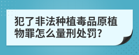 犯了非法种植毒品原植物罪怎么量刑处罚?