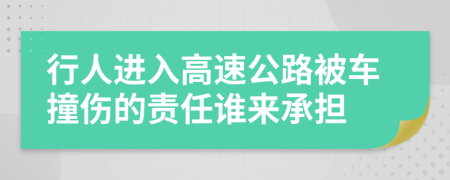 行人进入高速公路被车撞伤的责任谁来承担