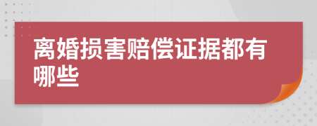 离婚损害赔偿证据都有哪些