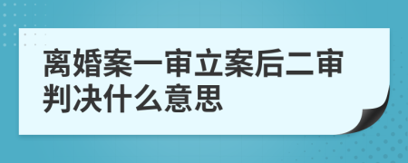 离婚案一审立案后二审判决什么意思
