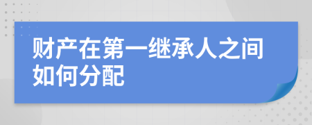 财产在第一继承人之间如何分配