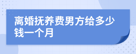 离婚抚养费男方给多少钱一个月