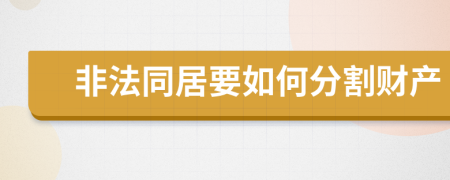 非法同居要如何分割财产