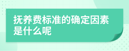 抚养费标准的确定因素是什么呢