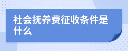 社会抚养费征收条件是什么