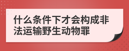 什么条件下才会构成非法运输野生动物罪