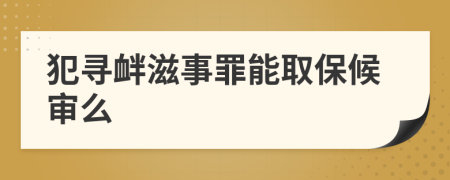 犯寻衅滋事罪能取保候审么