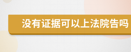 没有证据可以上法院告吗