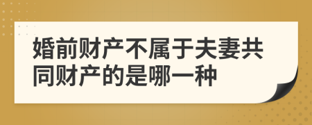 婚前财产不属于夫妻共同财产的是哪一种