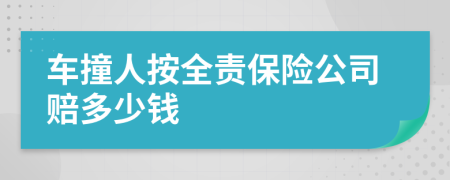 车撞人按全责保险公司赔多少钱