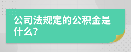 公司法规定的公积金是什么？