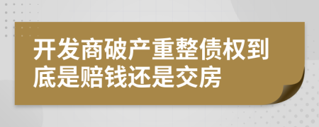 开发商破产重整债权到底是赔钱还是交房