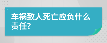 车祸致人死亡应负什么责任？