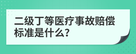 二级丁等医疗事故赔偿标准是什么？