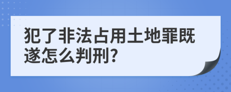 犯了非法占用土地罪既遂怎么判刑?