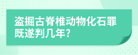 盗掘古脊椎动物化石罪既遂判几年?