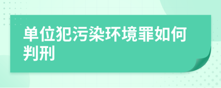 单位犯污染环境罪如何判刑