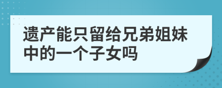 遗产能只留给兄弟姐妹中的一个子女吗