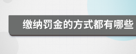 缴纳罚金的方式都有哪些