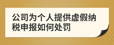 公司为个人提供虚假纳税申报如何处罚