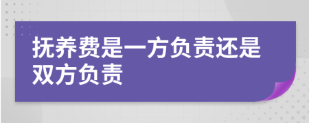 抚养费是一方负责还是双方负责