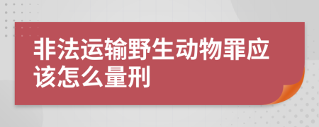 非法运输野生动物罪应该怎么量刑