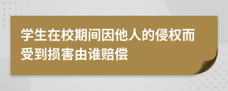 学生在校期间因他人的侵权而受到损害由谁赔偿