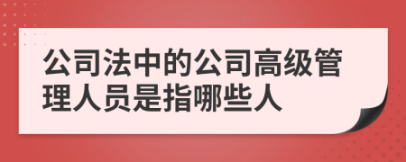 公司法中的公司高级管理人员是指哪些人