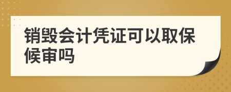 销毁会计凭证可以取保候审吗
