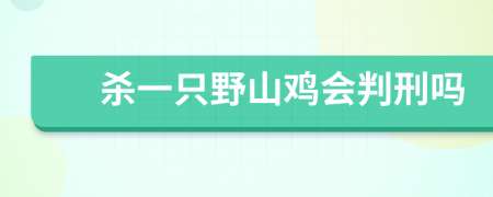 杀一只野山鸡会判刑吗